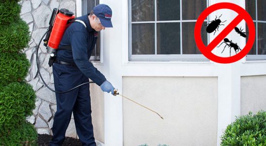 Akyaka Fare İlaçlama böcek ilaçlama ve haşere kontrolü — ilaclama-tr.com